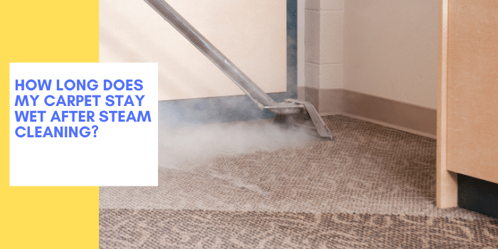 How Long Does My Carpet Stay Wet After Steam Cleaning?