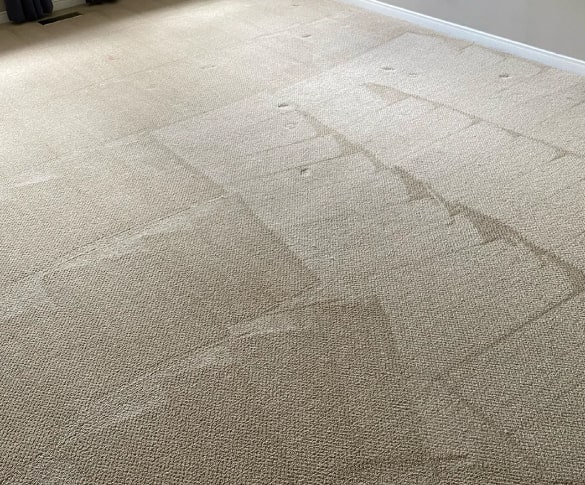 Best Carpet Cleaning Cronulla