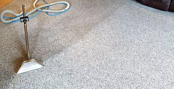 carpet cleaning professional